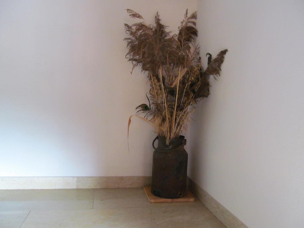 Appartement Weingut Schoberhof Bad Gleichenberg Habitación foto