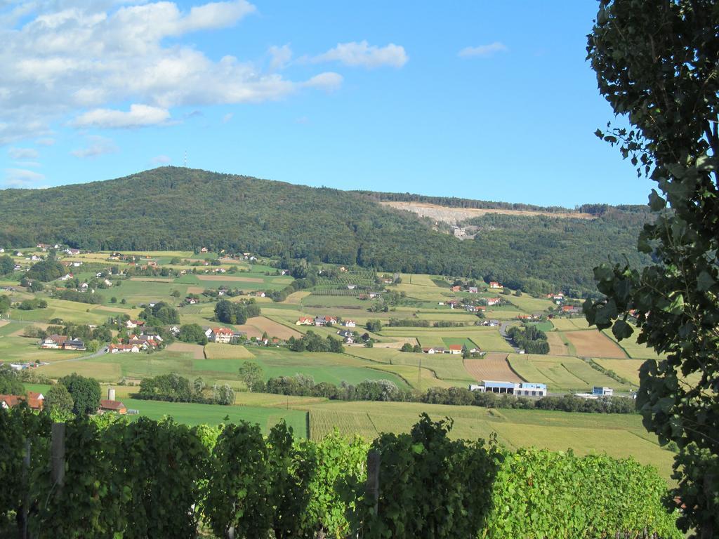 Appartement Weingut Schoberhof Bad Gleichenberg Habitación foto
