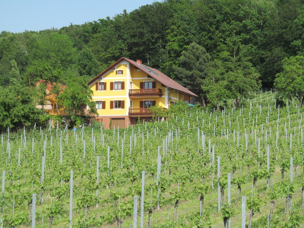 Appartement Weingut Schoberhof Bad Gleichenberg Habitación foto